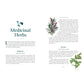 MYTHIC PLANTS BY ELLEN ZACHOS