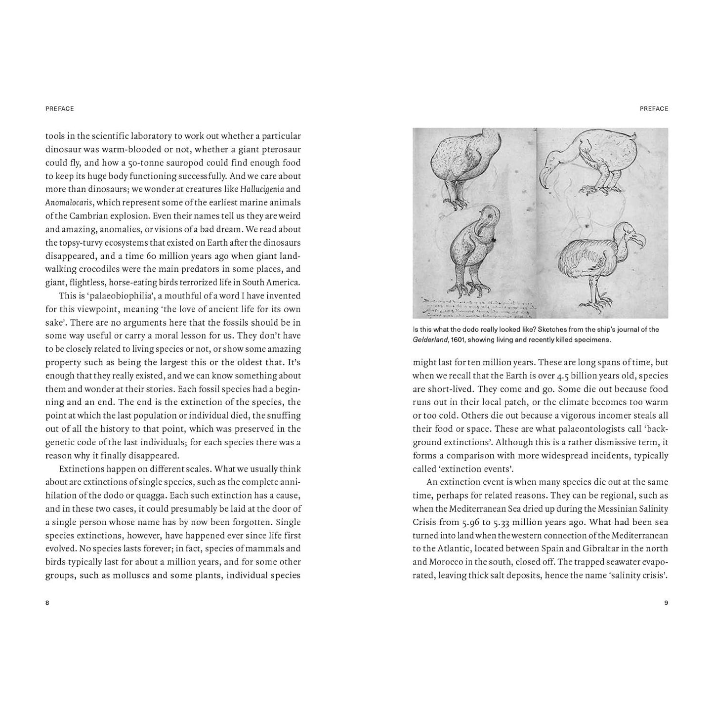 EXTINCTIONS: HOW LIFE SURVIVES, ADAPTS, AND EVOLVES BY MICHAEL J. BENTON
