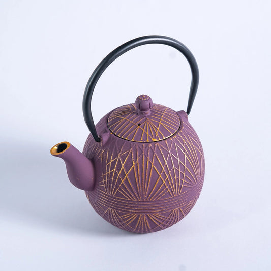 TESTUBIN PURPLE ROUND CAST IRON TEA POT
