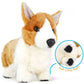 CORGI PLUSH