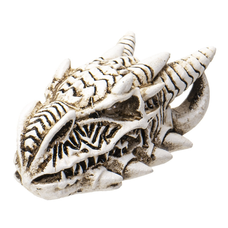SMALL DRAGON SKULL