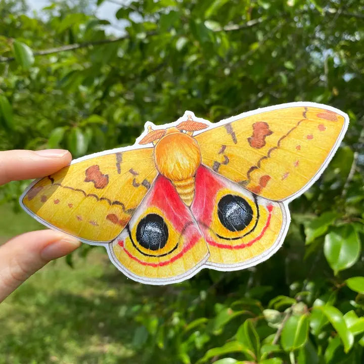 IO MOTH STICKER