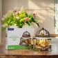 GREENHOUSE OASIS: DIY MINIATURE HOUSE KIT