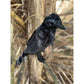 RAVEN PLUSH
