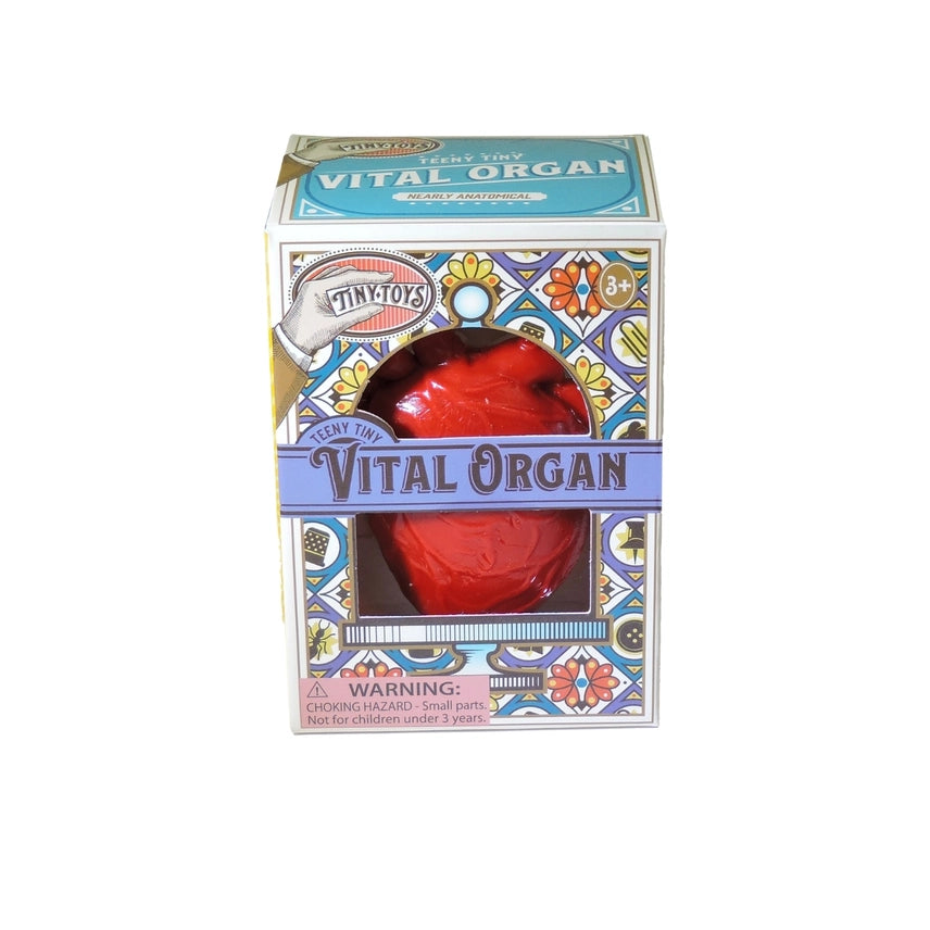 TEENY TINY VITAL ORGAN SQUISHY HEART