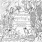 THE GREEN WITCH'S COLORING BOOK