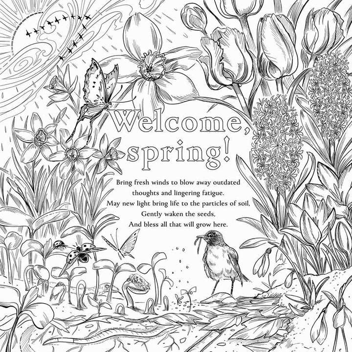 THE GREEN WITCH'S COLORING BOOK