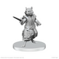 PATHFINDER DEEP CUTS: PROCYAL (RACCOON AGATHION) ZOAEM (RING ARCHEON)