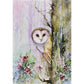 WOODLAND OWL SMALL BOXED HOLIDAY CARDS