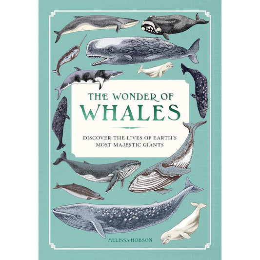 THE WONDER OF WHALES: DISCOVER THE LIVES OF EARTH'S MOST MAJESTIC GIANTS BY MELISSA HOBSON
