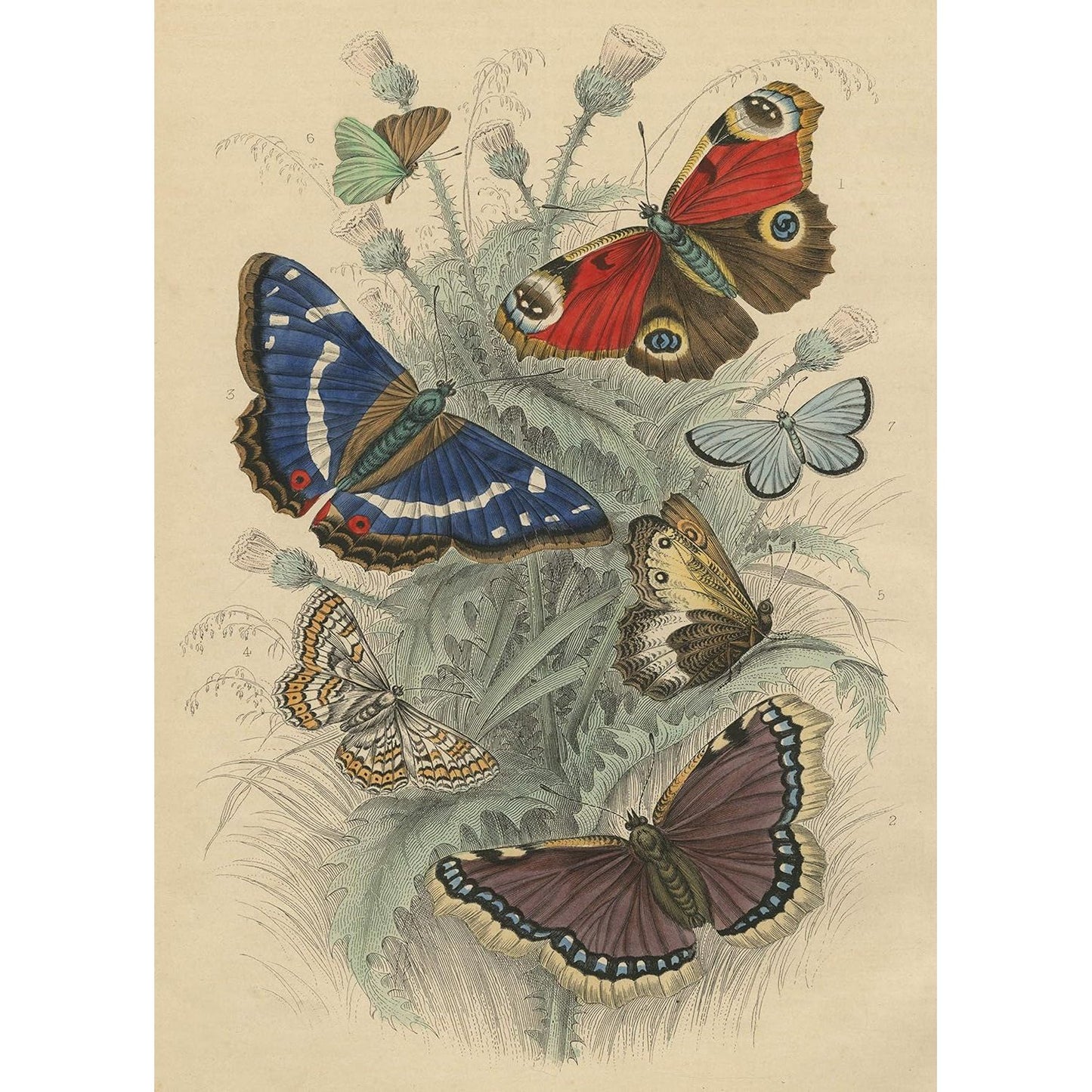 JOHN DERIAN 750PC DANCING BUTTERFLIES JIGSAW PUZZLE
