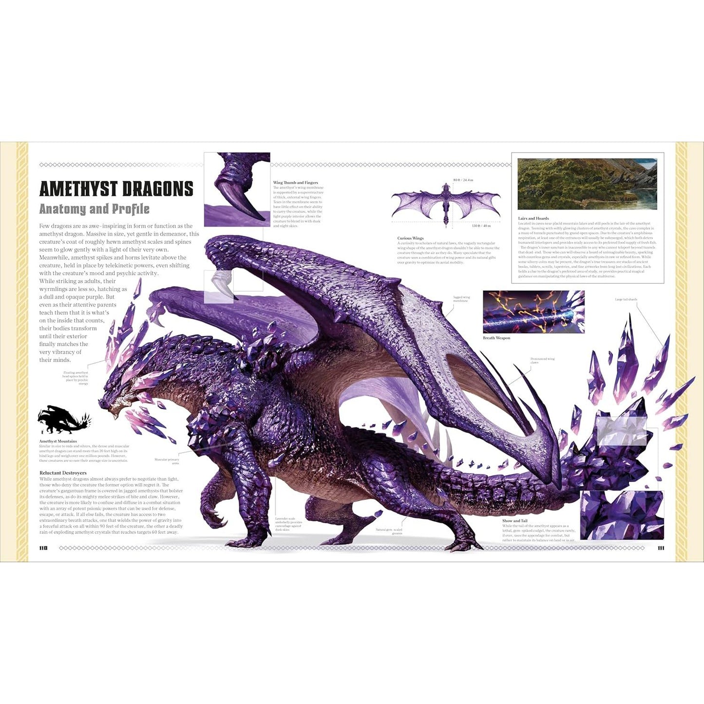 D&D: THE BOOK OF DRAGONS (A DK BOOK)