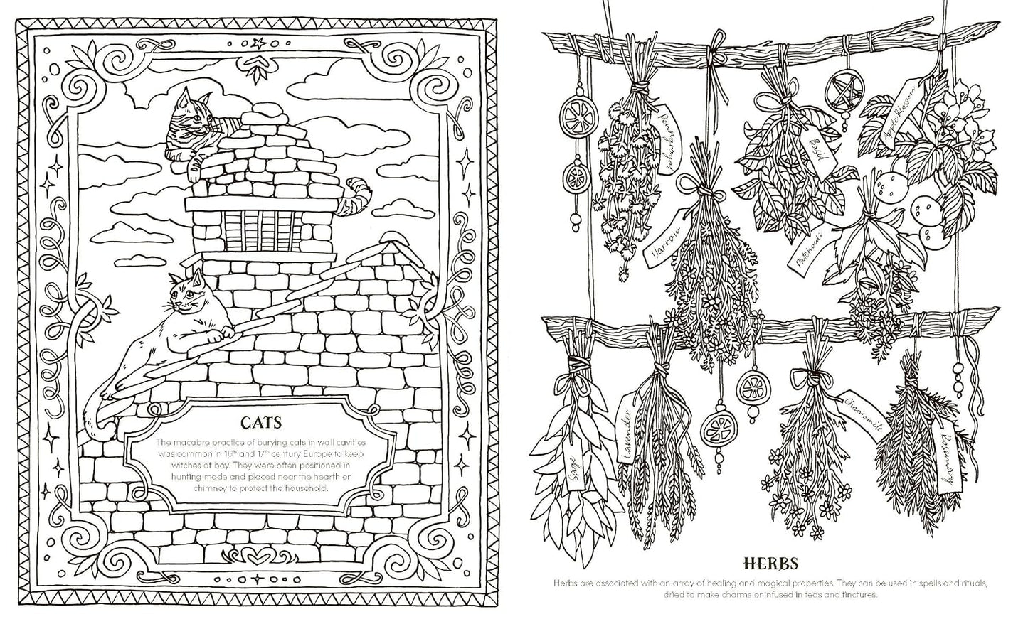 INTO THE COVEN: A SPELLBINDING COLORING BOOK FOR THE MODERN WITCH BY ANNA TROMOP