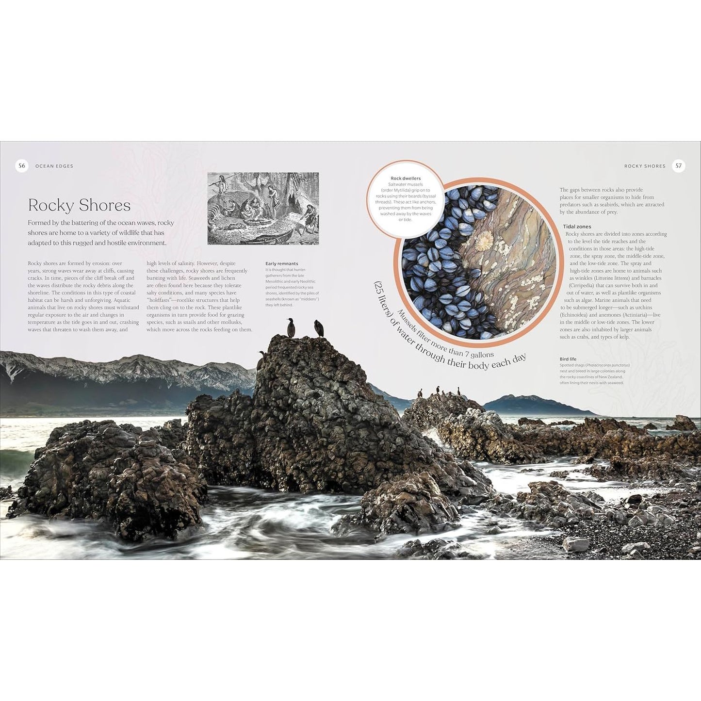 THE OCEAN BOOK: THE STORIES, SCIENCE, AND HISTORY OF OCEANS (A SMITHSONIAN AND DK BOOK)