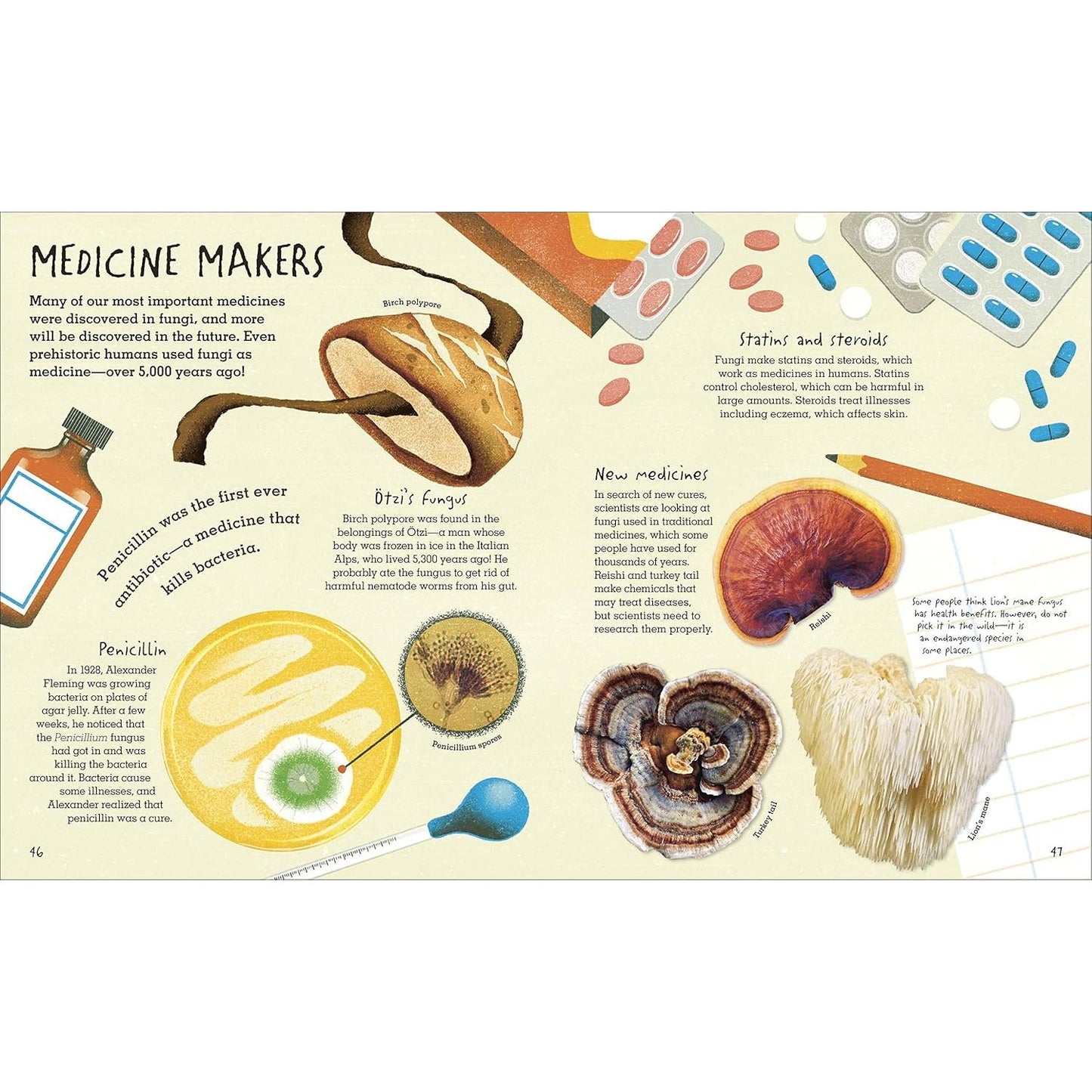 THE HUMONGOUS FUNGUS BY LYNNE BODDY AND ILLUSTRATED BY WENJIA TANG