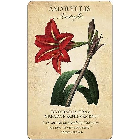 BOTANICAL INSPIRATIONS DECK AND BOOK SET