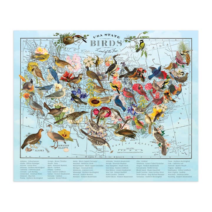 USA STATE BIRDS 1000PC PUZZLE