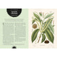 WITCH'S FOREST: TREES IN MAGIC, FOLKLORE, AND TRADITIONAL REMEDIES BY SARAH LAWRENCE