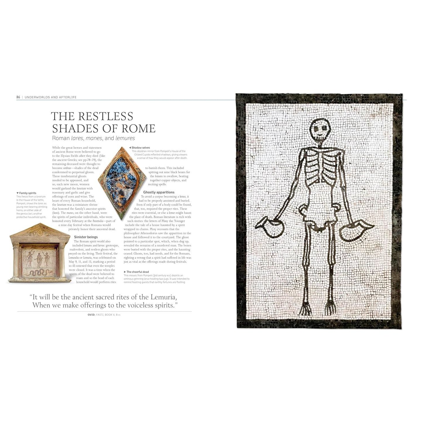 A HISTORY OF GHOSTS, SPIRITS, AND THE SUPERNATURAL (DK BOOK)