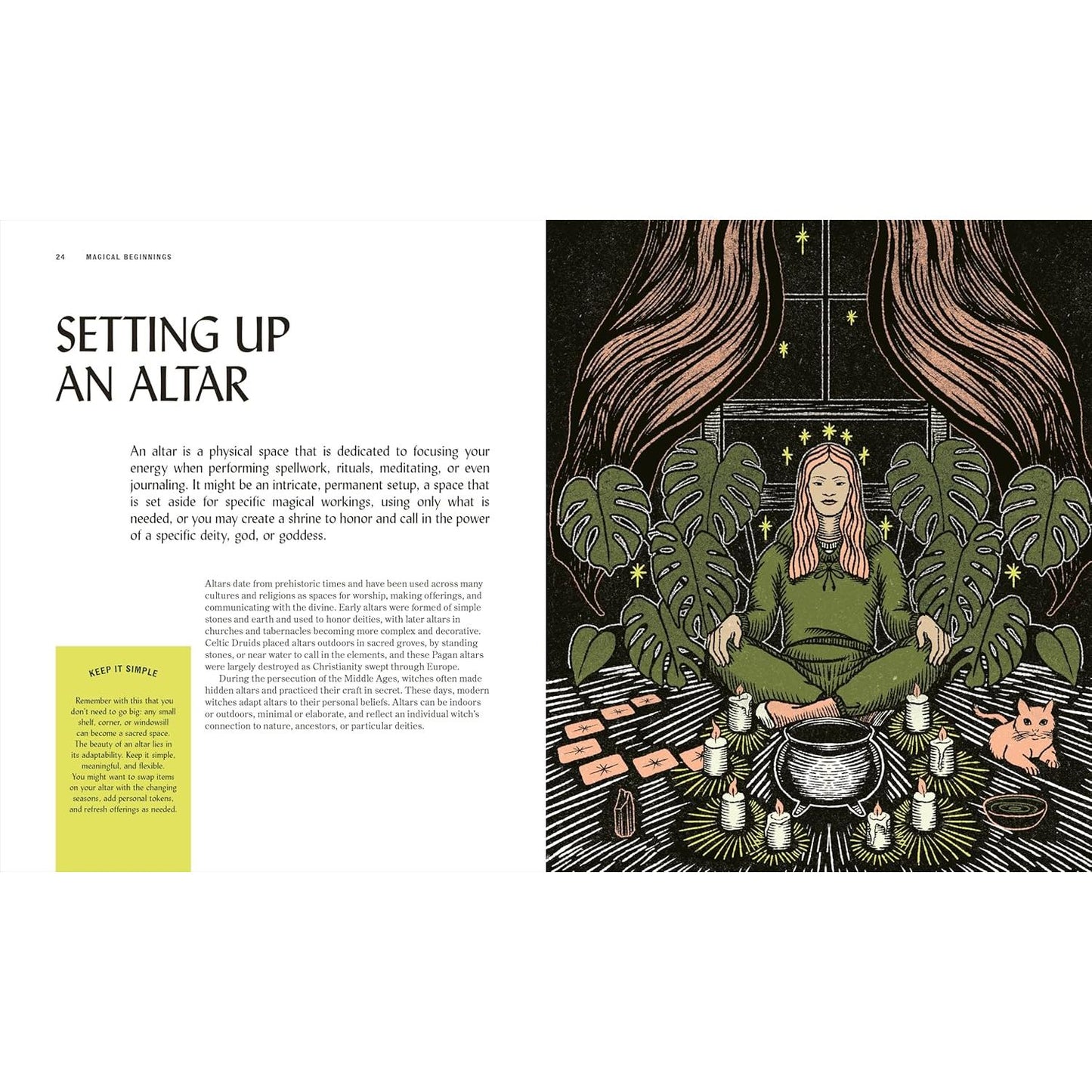THE BOOK OF WITCHCRAFT BY SEMRA HAKSEVER (DK BOOK)