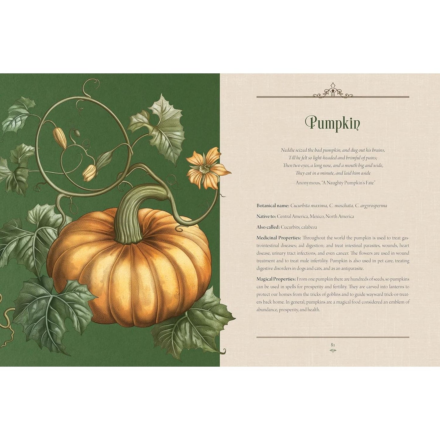 ENCHANTED PLANTS: A TREASURY OF BOTANICAL FOLKLORE & MAGIC BY VARLA VENTURA