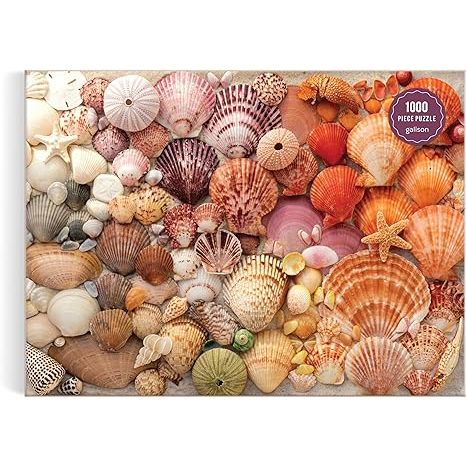 VIBRANT SEASHELLS PUZZLE 1000 PC