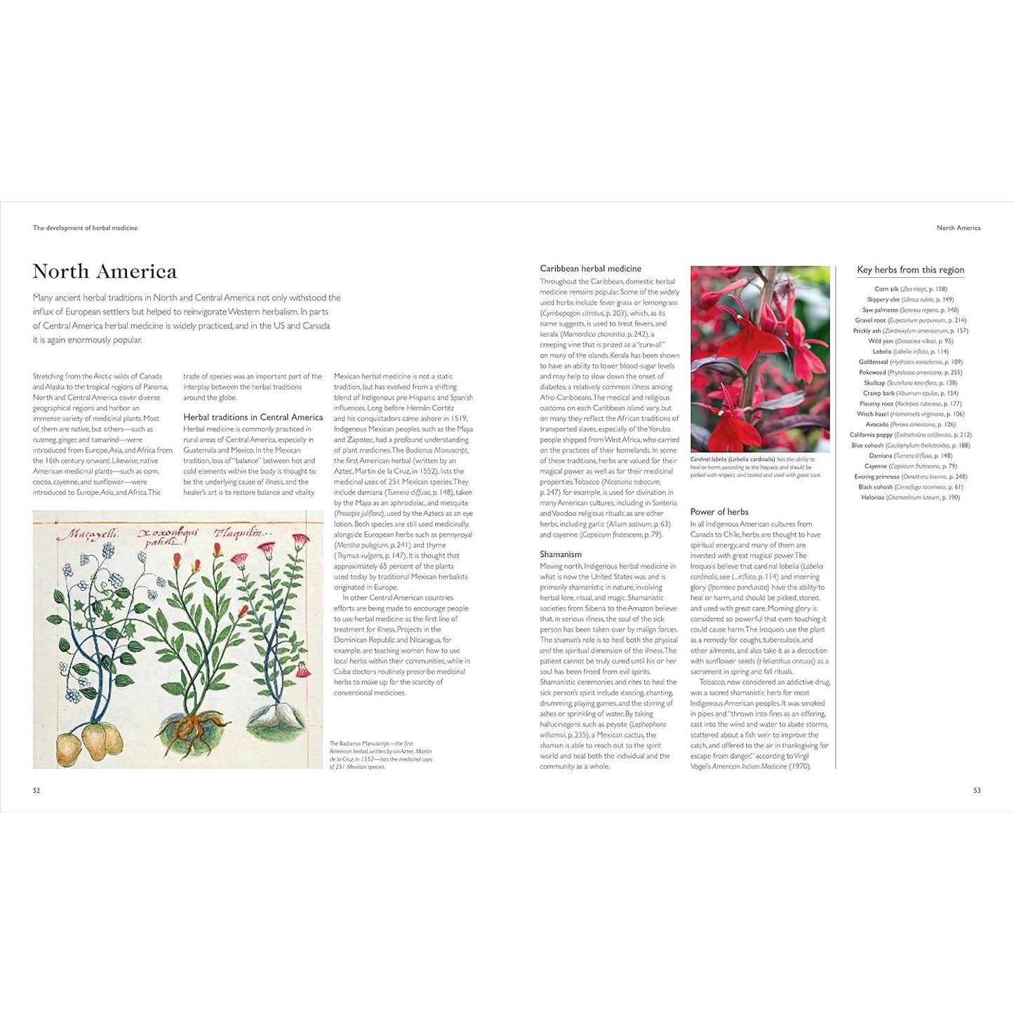 THE ENCYCLOPEDIA OF HERBAL MEDICINE BY ANDREW CHEVALLIER, FNIMH (DK BOOK)