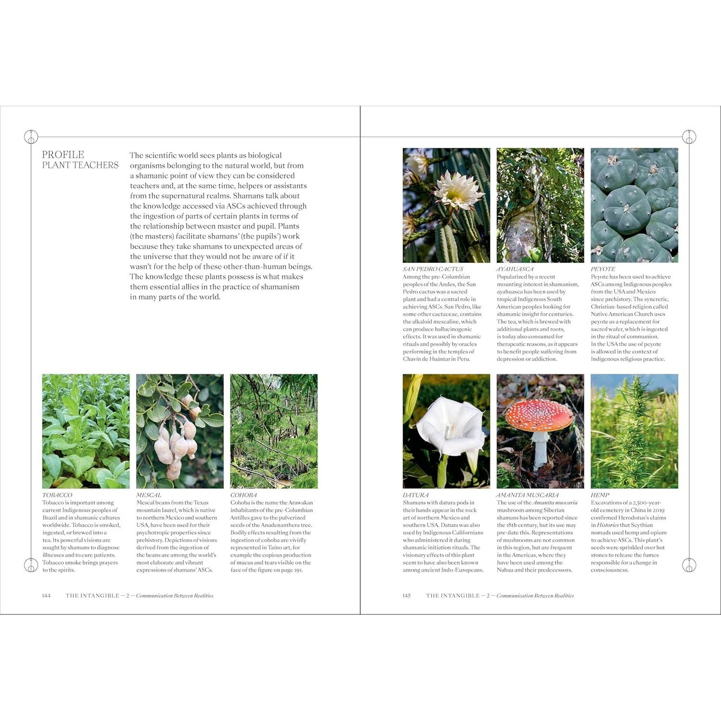 SHAMANS: THE VISUAL CULTURE OF ANIMISM, HEALING & JOURNEYS TO OTHER PLANES BY MAX CAROCCI