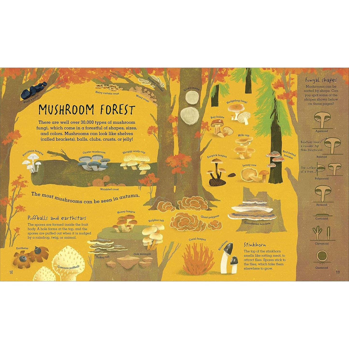 THE HUMONGOUS FUNGUS BY LYNNE BODDY AND ILLUSTRATED BY WENJIA TANG