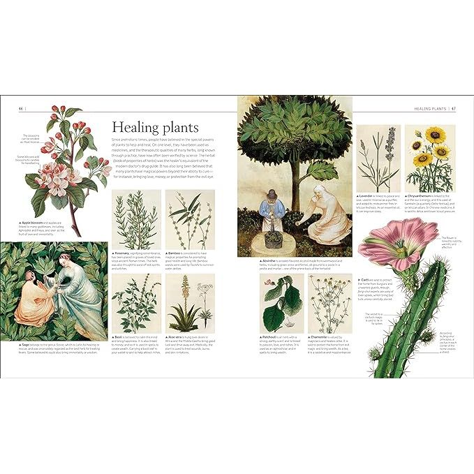 A HISTORY OF MAGIC, WITCHCRAFT, AND THE OCCULT (A DK BOOK)