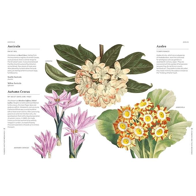 FLOWERS AND THEIR MEANINGS: THE SECRET LANGUAGE AND HISTORY OF OVER 600 BLOOMS BY KAREN AZOULAY