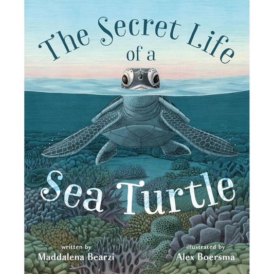 THE SECRET LIFE OF A SEA TURTLE BY MADDALENA BEARZI & ILLUSTRATED BY ALEX BOERSMA