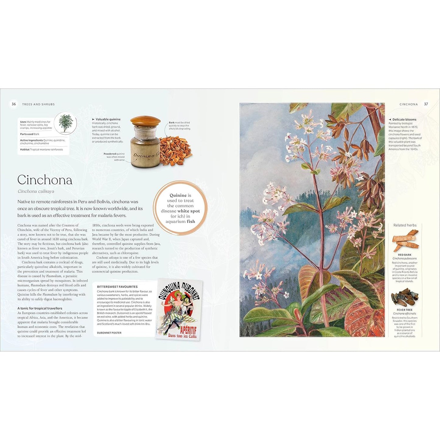 THE HERB BOOK; THE STORIES, SCIENCE, AND HISTORY OF HERBS (A DK BOOK)