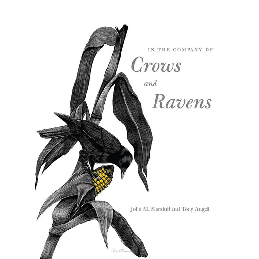 IN THE COMPANY OF CROWS AND RAVENS BY JOHN M. MARZLUFF & TONY ANGELL