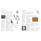 THE ENCYCLOPEDIA OF HERBAL MEDICINE BY ANDREW CHEVALLIER, FNIMH (DK BOOK)