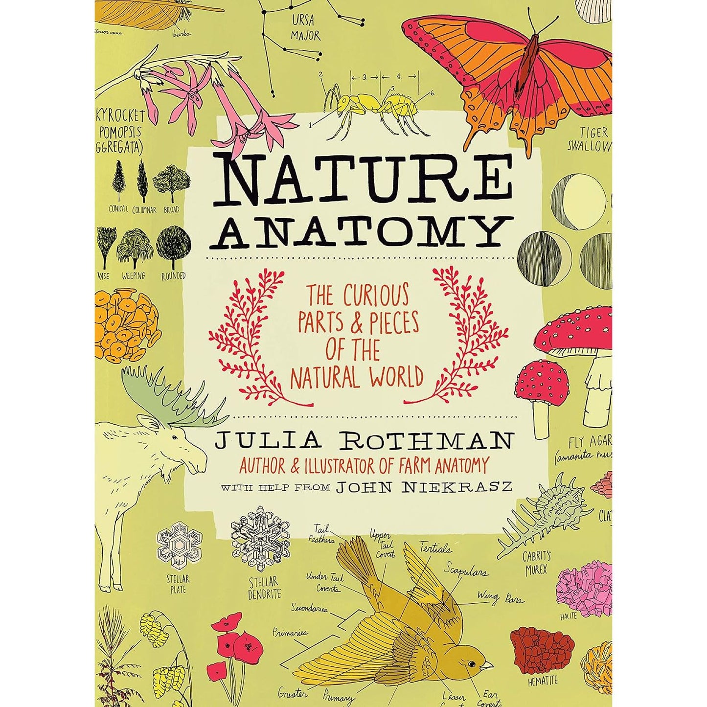 NATURE ANATOMY THE CURIOUS PARTS AND PIECES OF THE NATURAL WORLD BY JULIA ROTHMAN