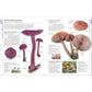 MUSHROOMS: HOW TO IDENTIFY AND GATHER WILD MUSHROOMS AND OTHER FUNGI (DK GUIDE)