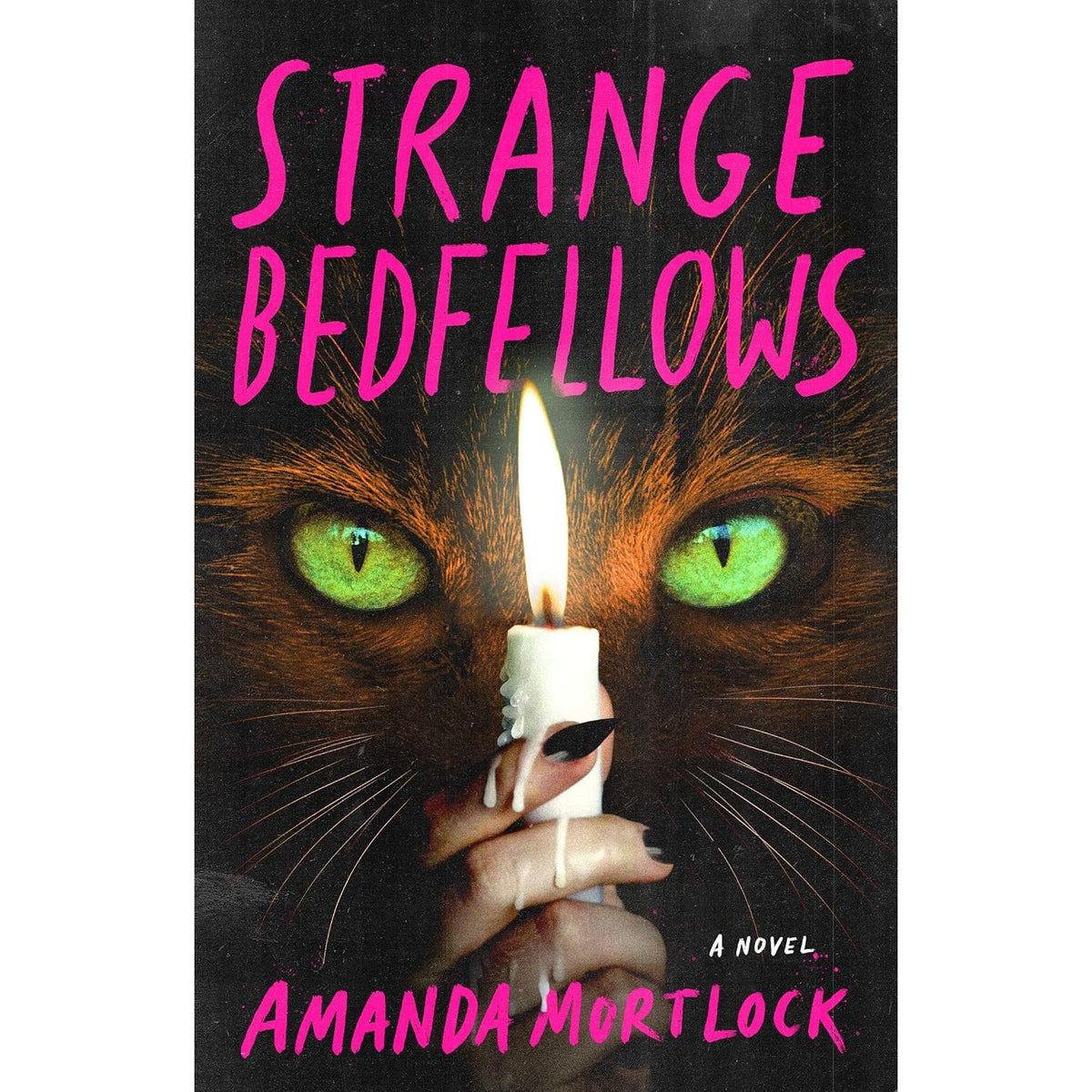 STRANGE BEDFELLOWS: A NOVEL BY AMANDA MORTLOCK
