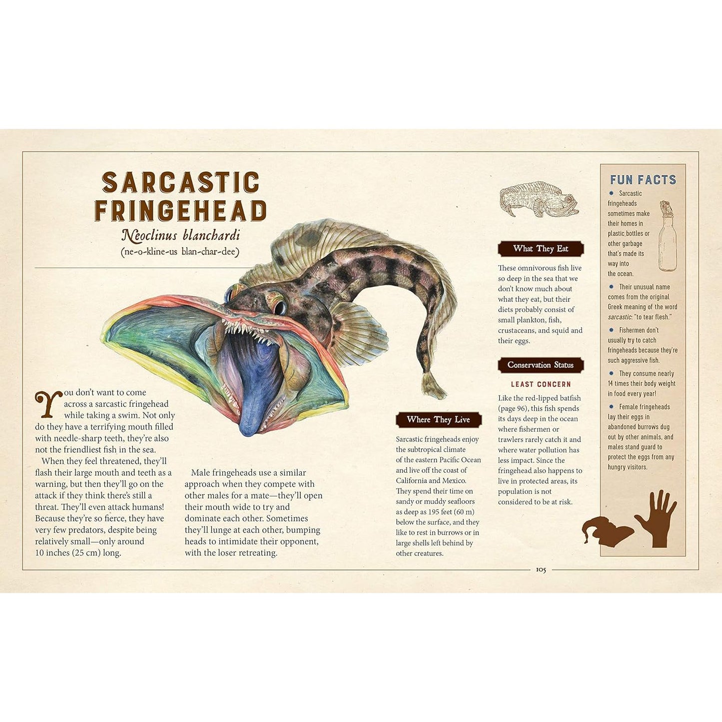 A CURIOUS COLLECTION OF PECULIAR CREATURES: AN ILLUSTRATED ENCYCLOPEDIA BY SAMI BAYLY