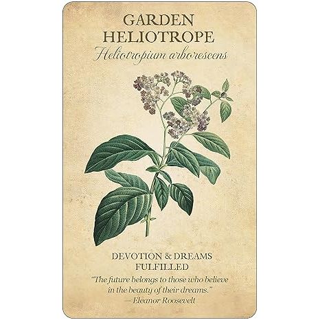 BOTANICAL INSPIRATIONS DECK AND BOOK SET