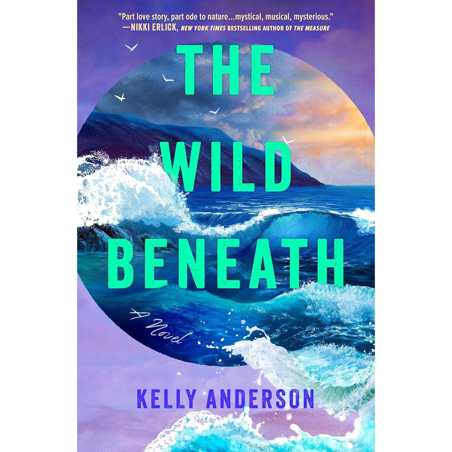 THE WILD BENEATH: A NOVEL BY KELLY ANDERSON
