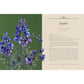 ENCHANTED PLANTS: A TREASURY OF BOTANICAL FOLKLORE & MAGIC BY VARLA VENTURA
