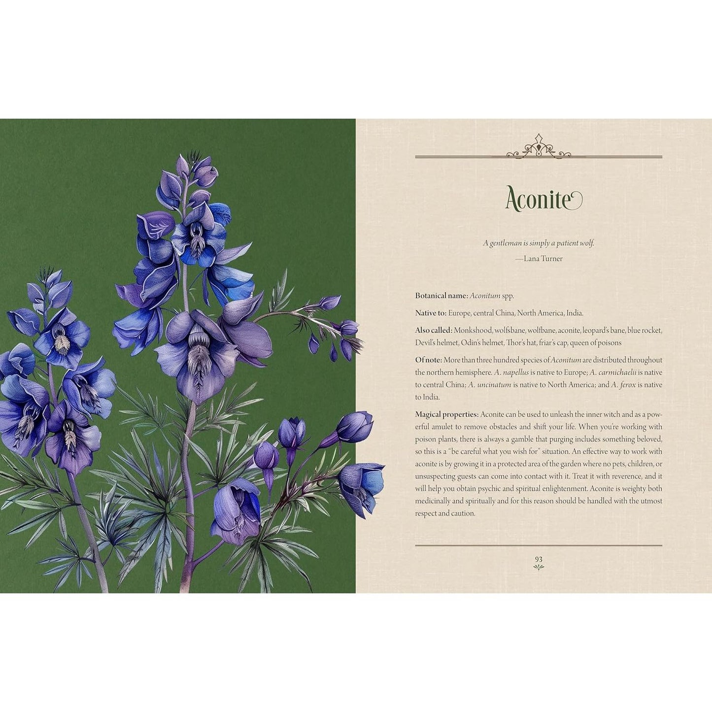 ENCHANTED PLANTS: A TREASURY OF BOTANICAL FOLKLORE & MAGIC BY VARLA VENTURA