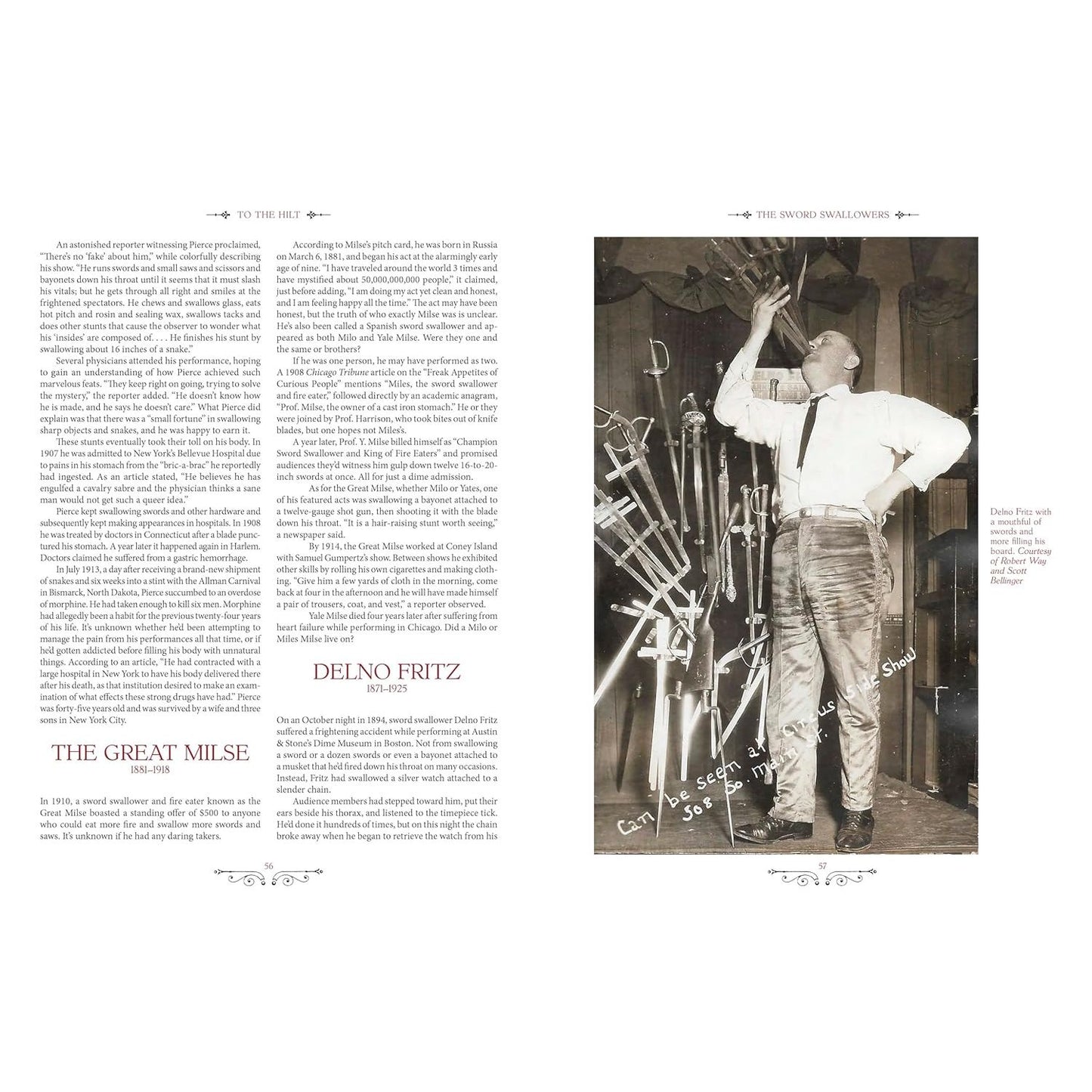 TO THE HILT: A SWORD SWALLOWER'S HISTORY OF SWORD SWALLOWING BY DAN MEYER AND MARC HARTZMAN