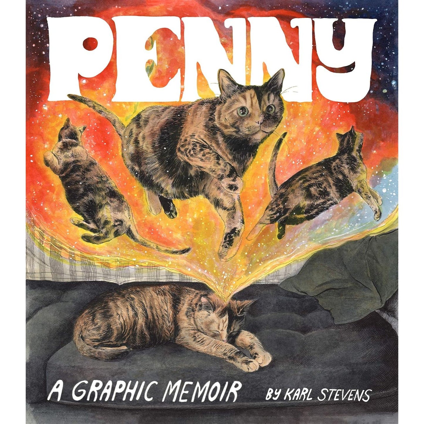 PENNY: A GRAPHIC MEMOIR BY KARL STEVENS
