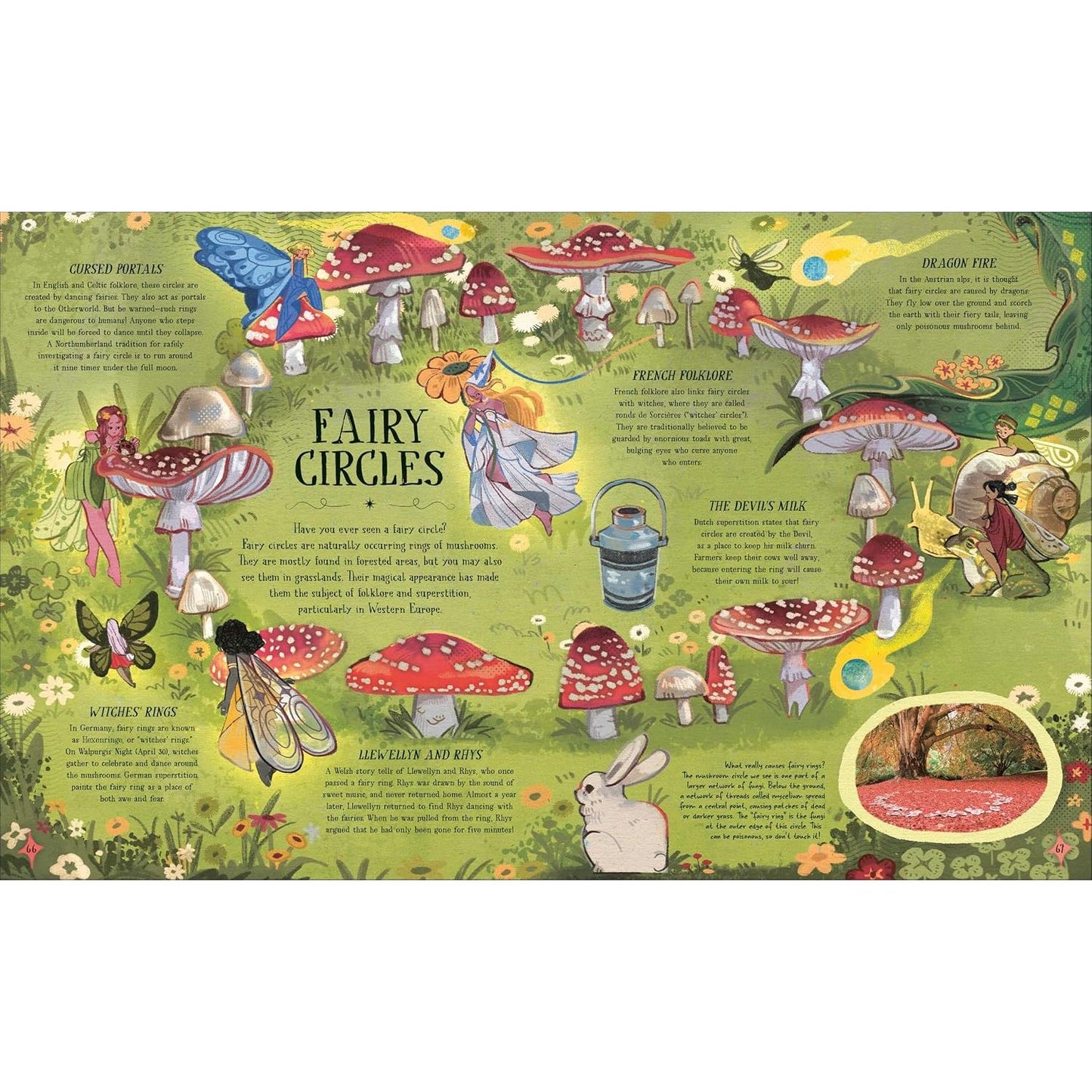 THE EXTRAORDINARY HISTORY OF THE FAE: FAIRIES, SPIRITS, AND OTHER MAGICAL BEINGS BY HAZEL ATKINSON AND CAMELIA PHAM