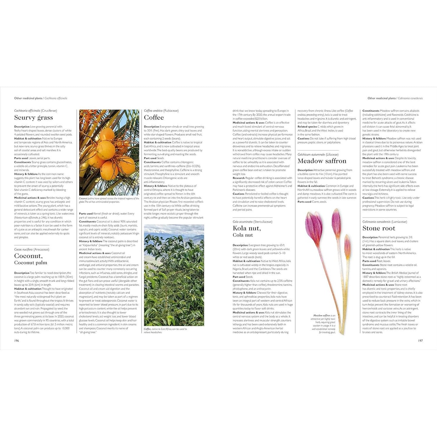 THE ENCYCLOPEDIA OF HERBAL MEDICINE BY ANDREW CHEVALLIER, FNIMH (DK BOOK)