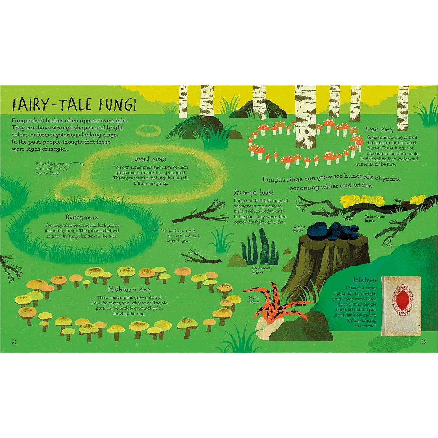 THE HUMONGOUS FUNGUS BY LYNNE BODDY AND ILLUSTRATED BY WENJIA TANG