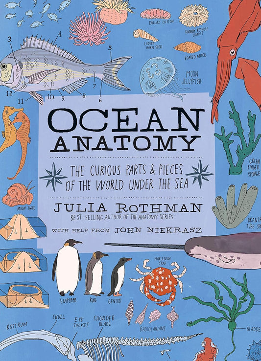 OCEAN ANATOMY BY JULIA ROTHMAN AND JOHN NIEKRASZ