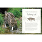 ANTHOLOGY OF AQUATIC LIFE: A DK BOOK